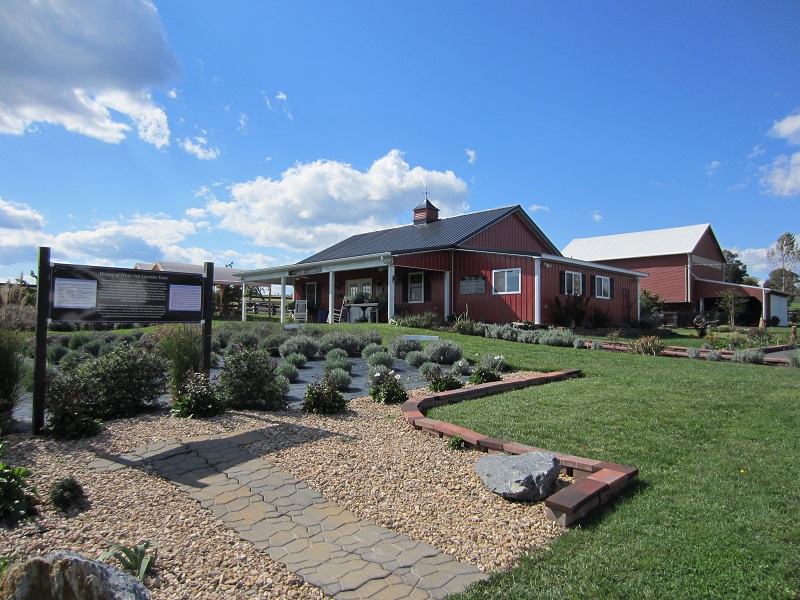 White Oak Lavender Farm